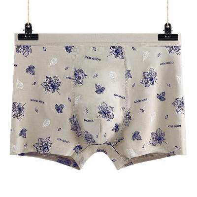 China High quality plus size soft cotton antibacterial absorb sweat men's boxer briefs boxershorts men print boxer mens short underwear for sale