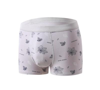 China High Quality Skin-friendly Antibacterial Absorb Sweat Antistatic Cotton Printed Men's Underwear Brief Briefs for sale