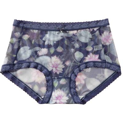 China OEM ODM Technics Eco Mesh Panties Women Lace Lingerie Women's Clothing Breathable Cotton Anti Bacterial Sexy Panties Anti Bacterial Underwear for sale