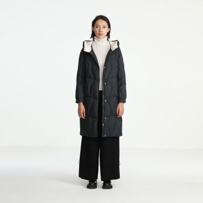 China Winter Professional Waterproof Jacket Factory Fashionable Ladies Coats Hood Women's Bottom Jacket for sale