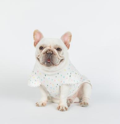 China Stocked excellent quality dog chothes t-shirt vest hoodie pet apparel logo print fashion pet clothes for sale