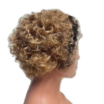 China Hot Selling Transparent Hair Wig Front Lace Wig Short Human Curly Hair Wig Transparent Products For Women for sale