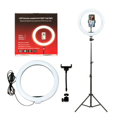 China JiYi PORTABLE 26cm 10inch Led Selfie Ring Light with Tripod and Remote Control for sale