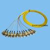 China 12core Bunch FC Fiber Optic Pigtail for sale