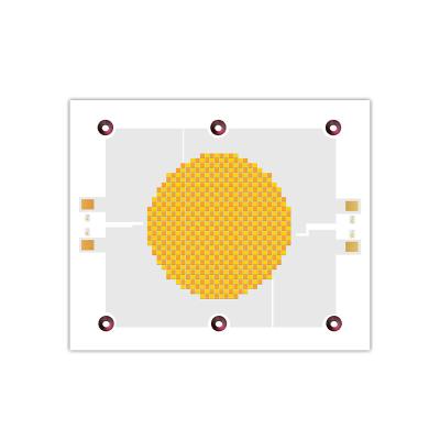China 1200W+1200W Bi-Color COB 2700K 6500K CCT High Power 1200W+1200W COB 120mm*100mm LED Chip Module Ra95+ for Photography Lights for sale