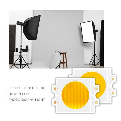 China Double Smd Led Red White Epistar Chip 4055 Bi-color Color for sale