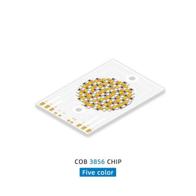 China COB 3856 300w CCT 620nm/460nm/520nm/2700K /6500K Color COB LED Chip Lamp Beads Diodes for Photography lamp for sale