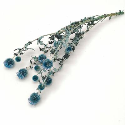 China Real Touch Nature Success Amazon Country Decor 2021 Autumn Decor Flower Arrangement Thistle Dried Echinops Latifolius for sale