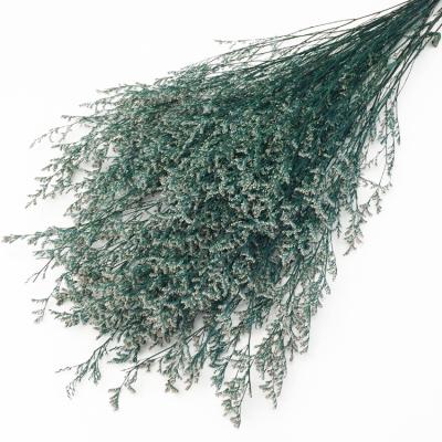 China Wholesale Good Quality Touch Real Nature Flowers Dry Limonium For Valentine Decor Preserved Caspia Limonium Filler Flowers for sale