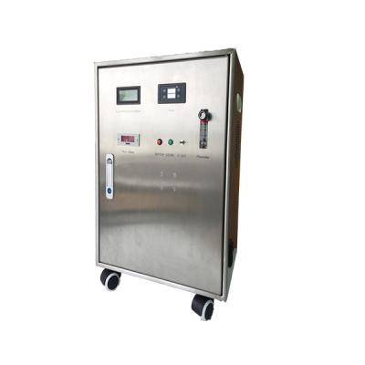 China Hotels 5.0 -10.0g/H Adjustable Precious Fruit And Vegetable Washing Equipment Ozone Food Sterilizer for sale