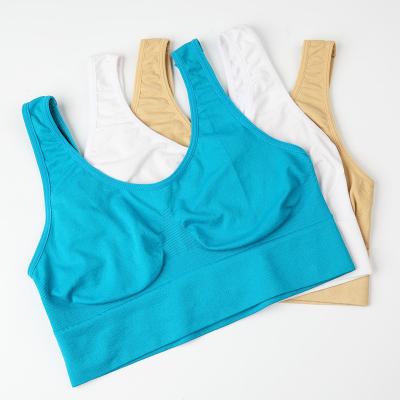 China SL108-SB Breathable Wholesale Women Seamless Sports Bra Underwear for sale