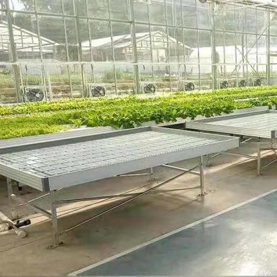 China Acessórios de Estufas de Plantação 4'×8' 4'×10' Ebb And Flow Rolling Bench à venda