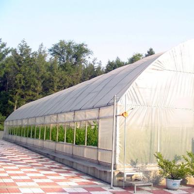 China Invernadero de túneles de marco metálico con ventilación Serre planta de agricultura Invernadero de túneles Aumentar el rendimiento y la calidad rentable en venta