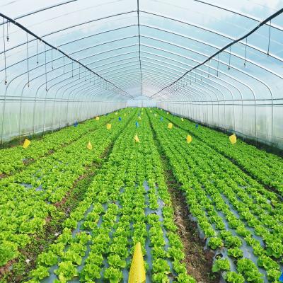 China 0.22kn/m2 Snow Load Capacity Easy Installation Tunnel Greenhouse with 1.5 Meter Arch Rod and Bolted / Welded Method for sale