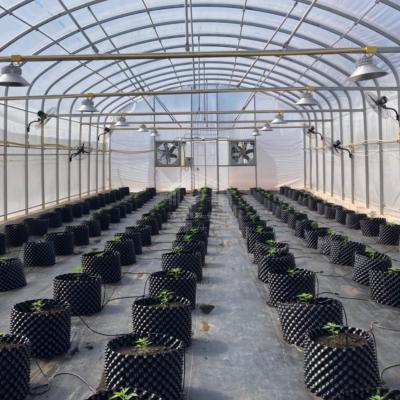 China Invernadero de túneles de estructura de acero galvanizado en caliente para soluciones agrícolas de todas las estaciones en venta