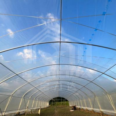 China 1.5 Distancia de la varilla del arco del metro invernaderos agrícolas para una eficiencia agrícola superior en venta