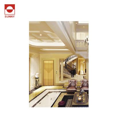 China Guided Lifts Load 250~400kg Steel Strip Style Villa Lift / Passenger Elevator for sale