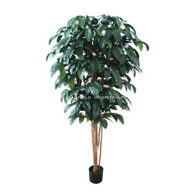 China Home/Hotel/Office/Festival/Indoor Decoration 183 cm Hot Tropical Indoor Decorative Faux Plant Sales Artificial Coffee Trees for sale
