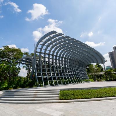 China Steel Frame Special Shaped Frame Frame Design Flower Steel Frame Building Structure for sale