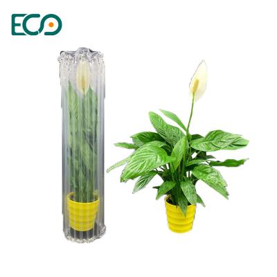 China Shockproof Air Cushion Packaging Bag With PAPE Material For Flowers Potted Plants for sale