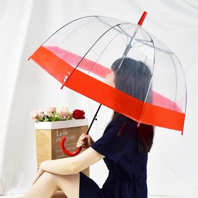 China Custom Minimalist 8K Long Shaft Fiber Plastic Transparent Rib Clear Umbrella Easy Carrying Umbrella for sale