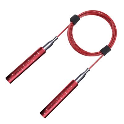 China Best Fitness Eco-friendly Portable Fitness Speed Jump Rope For Whole Body for sale