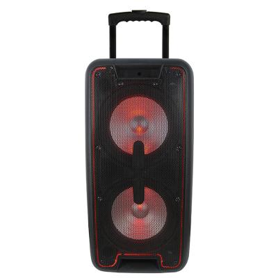 China No Trending New Dual 10 Inch Parties Speaker With Led Light Rechargeable Speaker for sale