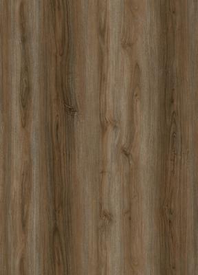 China pedra à prova de fogo Dampproof de pavimentação de madeira GKBM composto plástico DP-W82216 do SPC da cânfora de 4mm à venda