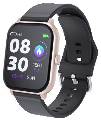 China IP67 Photo Weather Forecast Message Reminder 2.5D Large Screen Waterproof Remote Smart Watch for sale