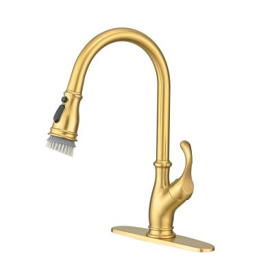 China Kitchen Sink Mixer Tap Faucets With Pull Out Spray FLG: NG1176 Nickel Gold Brush Head Kitchen Sink Mixer Tap Pull Out Spray Kitchen Faucet for sale