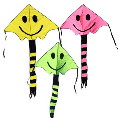 China Ripstop Polyester Chinese Easy Flying Delta Cool Kite For Kids Outdoor Toy From Kite Factory for sale