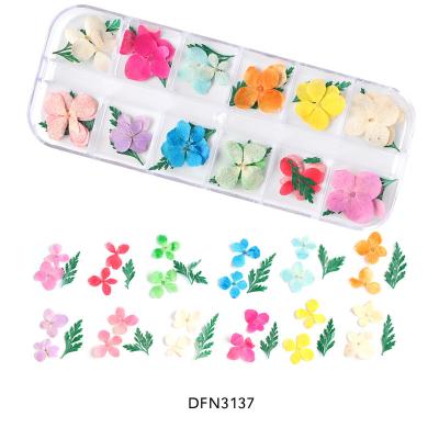 China Hot Sale Dry Nail Art Resin Dried Flower Pressed Natural Touch Flowers Dried Flowers for Resin Art Floral Decors for sale