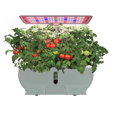 China Farms Microgreen Herb Garden Planter Kit 24w Smart Hydroponic Growing Systems Indoor Automatic Growing System With Led Plant Light for sale