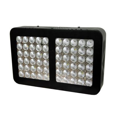 China Seed Starting LED Light Source And Growing Lights Item Type High Quality 300w Led Grow Light for sale