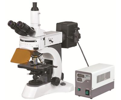 Cina Le BS - grezzo coassiale del microscopio di fluorescenza 7000A & aggiustamento di precisione, divisione fine 0.001mm in vendita