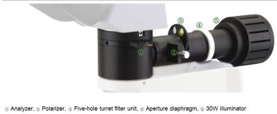 Cina Microscopio ottico metallurgico con la lampada dell'alogeno del diaframma di apertura dell'iride 6V/30W in vendita