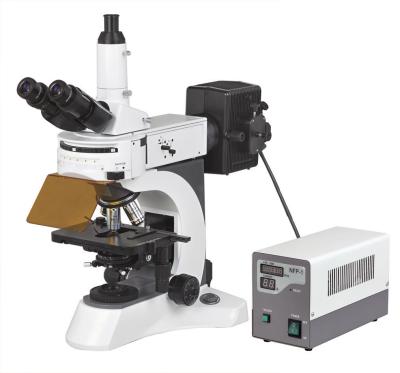 Cina Microscopi fluorescenti di Trinocular riflessi con l'alta risoluzione in vendita