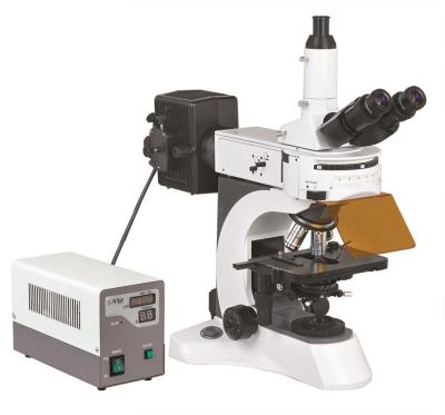 Cina Trinocular Epi - microscopio fluorescente, video microscopio BS - 7000A in vendita