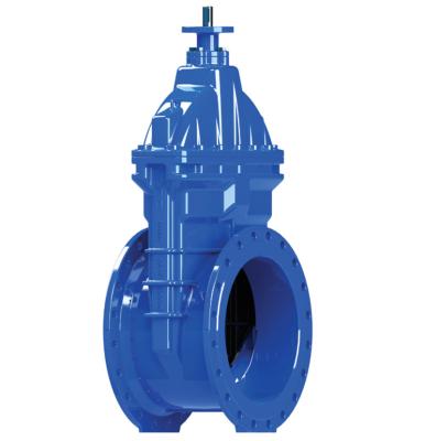 China General Good Quality 6 Inch Non Rising Resilient Cast Iron Stem Flange Seat Gate Valve Price List for sale