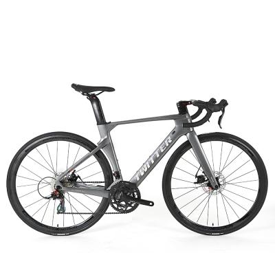 China EPS Tech Twitter Full Carbon Fiber Road Bike 22 Speed Disc Brake Carbon Road Bicycle for sale