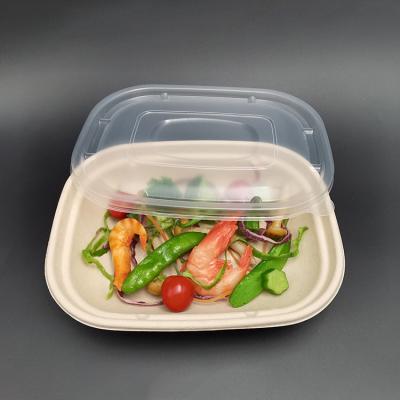 China Biodegradable Custom Eco-Friendly Package Bento Lunch Box Sugar Cane Bagasse Food Container for sale