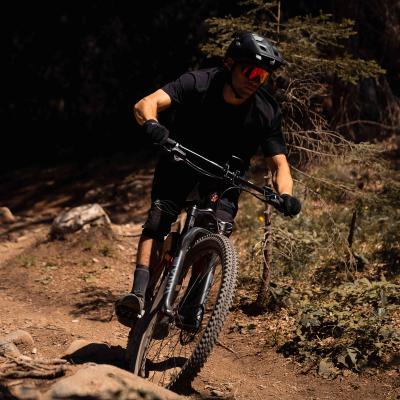 China E Bike Java J Air SCALATA Off Road Ebike 36V Battery Pack Outdoor Moving Frame 29 Inch 12 Speed Electric Ebike Bicycle for sale