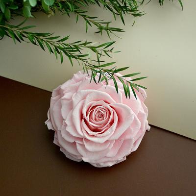 China Rose Long Lasting Wholesale Natural Fresh Florist Supplies 10 Cm Large Size Decoration Plants Eternal Preserved Rose A Grade for sale