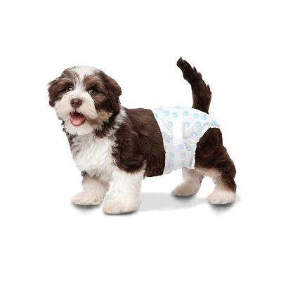 China Diaper Factory Printed Print Model Super Absorbent 5 Layer Diaper Dog Pet Disposable Diapers for sale