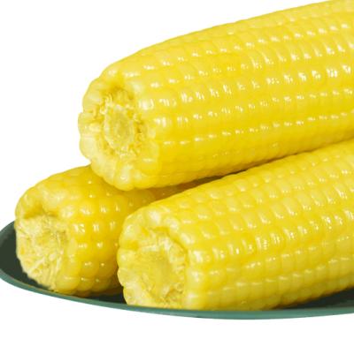 China Factory sale OEM FROZEN hot popular product yellow corn maize corn for wholesale for sale