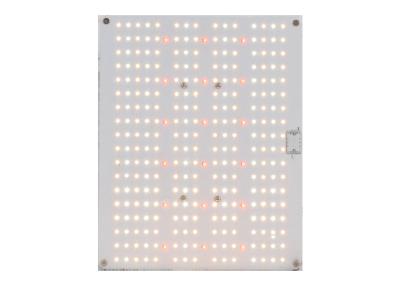 Cina Luci progressive del corredo IP67 640nm Quantum della luce di DIY in vendita