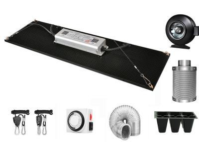 Cina Il bordo di HLG Samsung Quantum ha condotto le luci progressive 120w 240w per il coltivatore domestico del Hobbyist in vendita