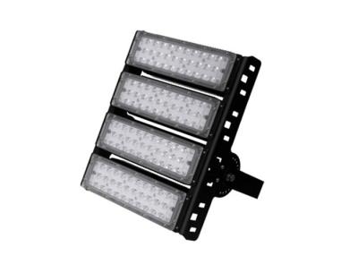 Cina Lampada di proiezione all'aperto della luce del modulo del tunnel della luce di inondazione del driver di marca di alto potere IP65 in vendita