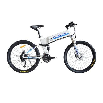 China Factory Direct 36V 9A 21 Speed 26