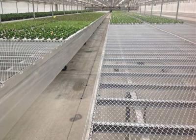 중국 Carbon Expanded Steel Mesh Used As Greenhouse Shelves And Benches 판매용